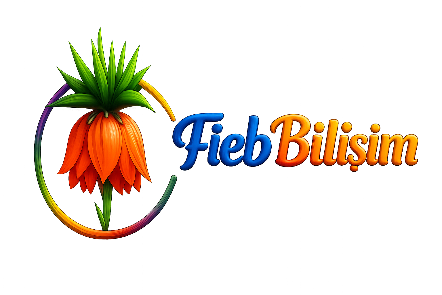 Fieb Bilişim